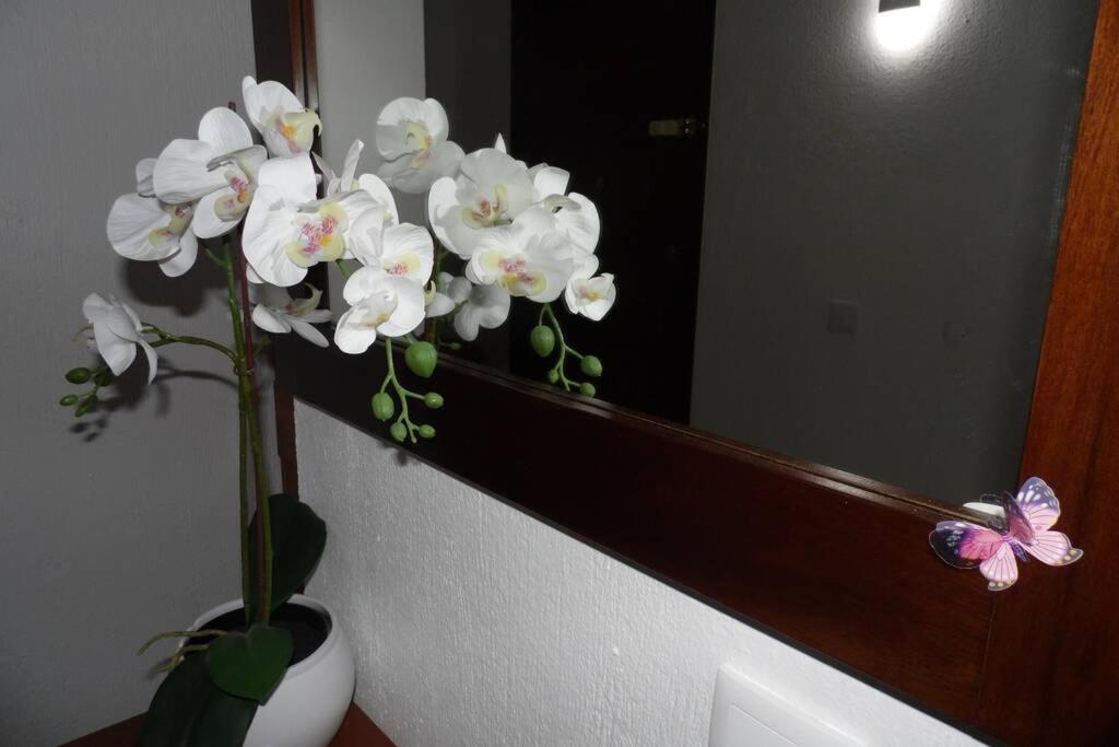 Happy House-fantastic With Amenities Appartement *